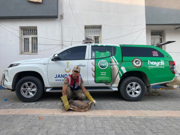 Hakkari&#039;de jandarma ekibinin bulduğu yaralı akbaba tedaviye alındı