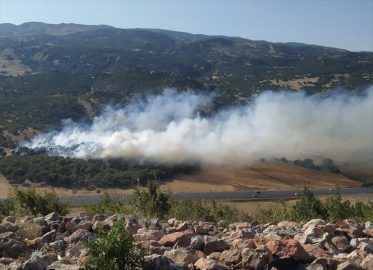 Bingöl'de çıkan orman ve örtü yangınları söndürüldü