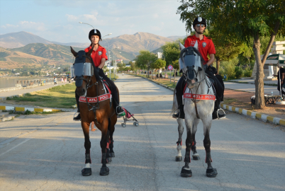 Van Gölü sahilinde devriye gezen atlı polisler ilgiyle karşılandı