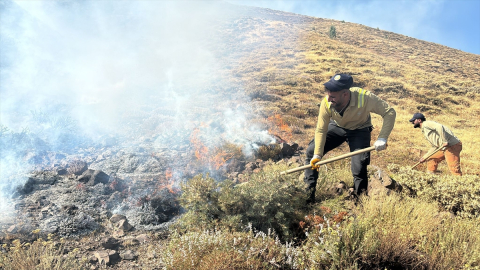 Bingöl'de çıkan orman ve örtü yangınları söndürüldü