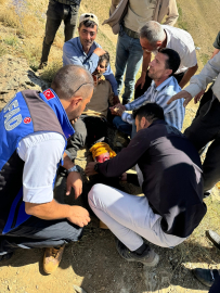 Hakkari'de ayı saldırısına uğrayan çoban yaralandı