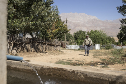 Zoolog akademisyen Tunceli kırsalında kör farelerin izini sürüyor