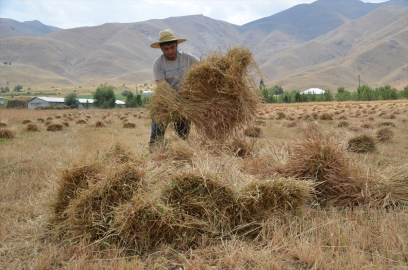 Köylerinde bir yandan babalarına destek olan Hakkarili iki öğrenci azmedip tıp kazandı