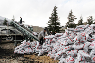 Darende'de ihtiyaç sahibi ailelere kömür dağıtılıyor