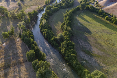 Munzur Çayı 3 balık türüne üreme ve yaşam alanı sağlıyor
