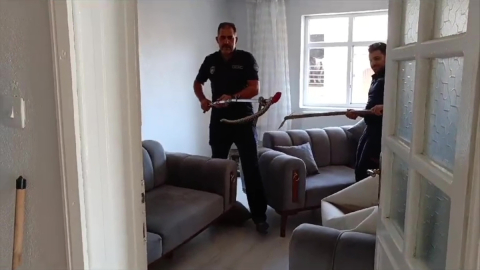 Elazığ'da eve giren yılan itfaiye erleri tarafından çıkarıldı