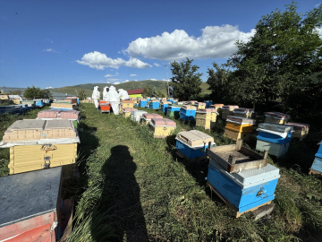 Tescilli Ardahan çiçek balında 400 tonu aşan rekolte bekleniyor