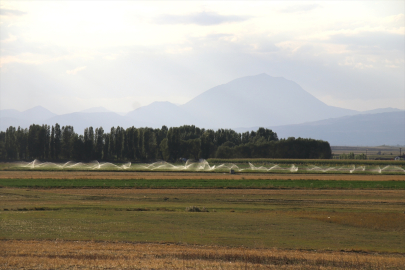 Yazıcı Barajı&#039;nın sağladığı modern sulama imkanlarıyla tarımda verim ve çeşitlilik artıyor