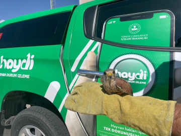 Malatya&#039;da yaralı bulunan atmaca tedaviye alındı