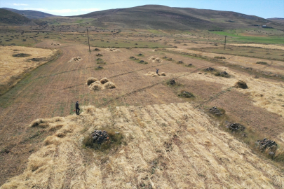 Ağrı'nın yüksek rakımlı köylerinde çiftçiler hasat için mevsim koşullarıyla yarışıyor