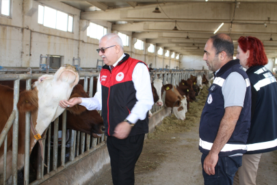 Van'da büyükbaş hayvan işletmeleri denetlendi