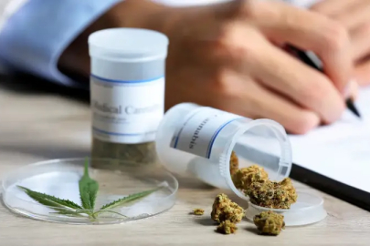 Reçeteli kenevir yasalaştı