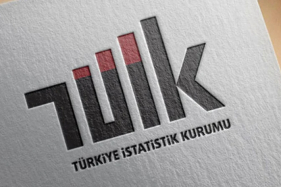 TÜİK'e göre en çok kazandıran üniversite bölümleri açıklandı