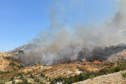 Antalya'nın 3 ilçesinde orman yangını