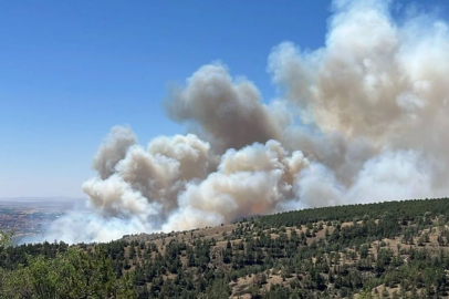 ODTÜ Ormanı çevresindeki dumanlar panik yarattı