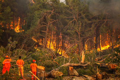 Yangın sonrası bilanço ağır!