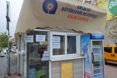 Antalya Büyükşehir, ucuz ekmek için buğdayını kendi üretiyor