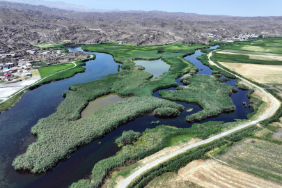 Ağrı Dağı eteklerinde yeni proje