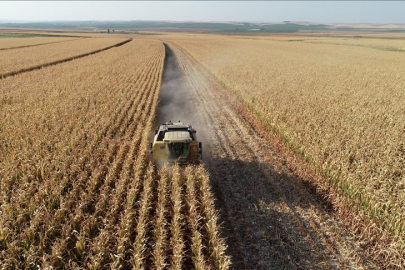 Türkiye, 24 yıl sonra yeniden tarım sayımına başladı