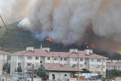 Edirne’deki orman yangınına yağmur “dur” dedi