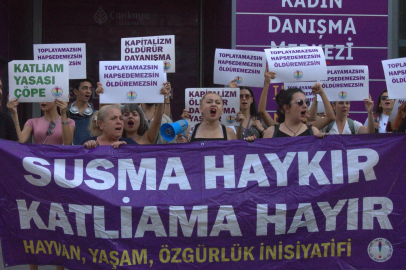 Ağustos katliam ayı: Hayvanseverler isyanda, sokaklar adalet için ayakta!