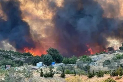 Çanakkale alevlerle mücadele ediyor:  Bilanço gün ağarınca ortaya çıktı