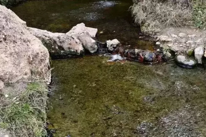 ‘Şifalı’ denilen su faciaya dönüştü: Çankırı’da yaşlı çift yaşamını yitirdi