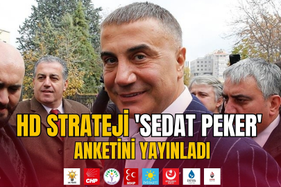HD Strateji  'Sedat Peker' anketini yayınladı