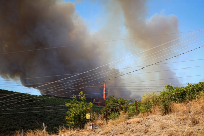 Bursa’da orman yangınına hızlı müdahale başladı!