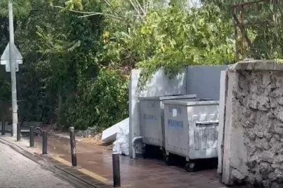 Çöp konteynerinde yanık izleri olan bebek cesedi bulundu