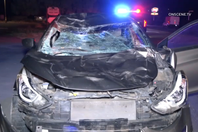 3 çocuk annesinin kahramanlığı ölümle bitti! Otoyolda korkunç kaza!