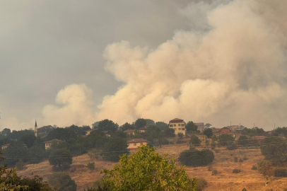 Kastamonu’daki orman yangınının dumanı Ankara’ya ulaştı: Valilikten açıklama geldi