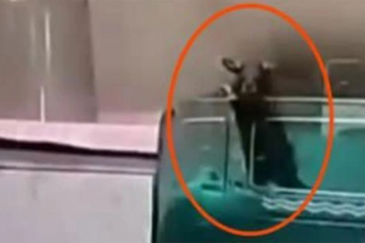 Kamu hastanesinde skandal: İki bebek fare ısırıklarıyla hayatını kaybetti