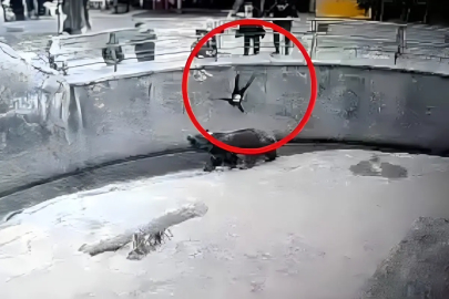 Taşkent’te kan donduran cinayet! 3 yıl önce ayının önüne atmıştı, şimdi bıçakladı