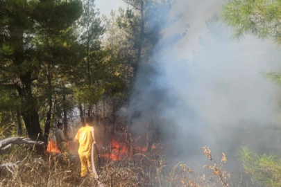Denizli’de orman yangını! Ekipler havadan ve karadan müdahale ediyor