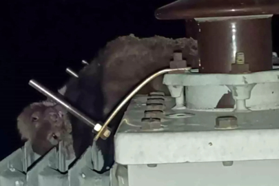 Mahalleyi günlerce elektriksiz bırakan gizem çözüldü!