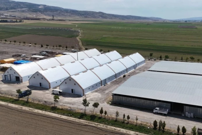 Eskişehir’de şap alarmı: Hayvan pazarı kapatıldı, giriş-çıkışlar yasaklandı