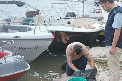 Yalova'da denizi kirleten iki belediyeye 'Çevre' cezası