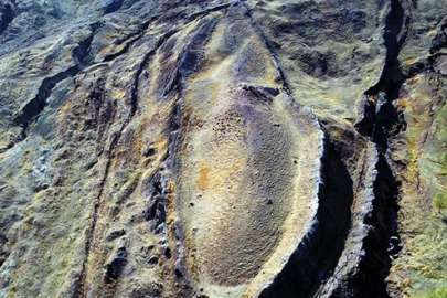 Zeytin ağacından gelen iz: Nuh’un Gemisi’nin sırrı çözüldü mü?