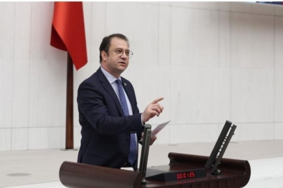 CHP’li İnan Akgün Alp: Rojin’in ölümü aydınlatılsın, devletin tüm imkânları seferber edilmeli