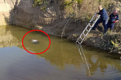 Antalya’da korkunç olay!