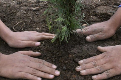 Okullarda Atatürk anısına fidan dikilecek