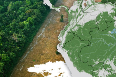 Dünyayı bekleyen tehlike: Amazon yavaş yavaş ölüyor