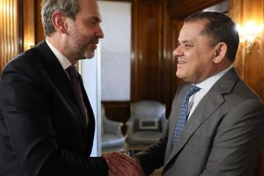 Bakan Bayraktar, Dibeybe ile enerji işbirliğini görüştü