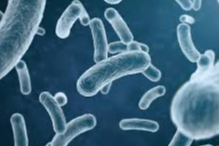 Kuzey Yarımküre’de yeni grip virüsü H3N2 hızla yayılıyor