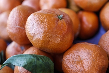 Mandalina ihracatında zirve Türkiye’nin