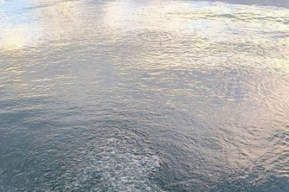 Sapanca Gölü’nde kabarcıklar endişe yarattı