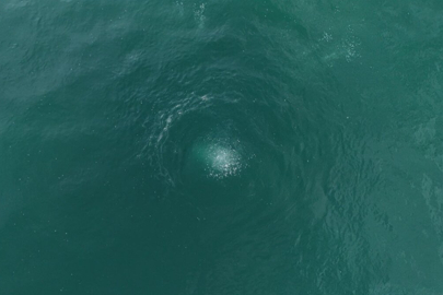 Sapanca Gölü’nde esrarengiz kabarcık paniği! Yurttaş tedirgin: Rahat uyuyamıyoruz