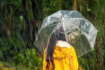 Yağmur sesinin sakinleştirici gücü: Beyin ve doğa uyumu