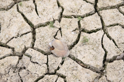İran’dan kuraklık için işbirliği çağrısı